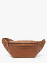 Heuptasje Arthur & aston Bruin leon 4